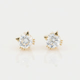 Cat Solitaire Stud