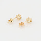 Cat Solitaire Stud