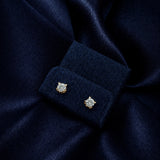 Cat Solitaire Stud