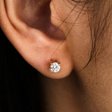Cat Solitaire Stud