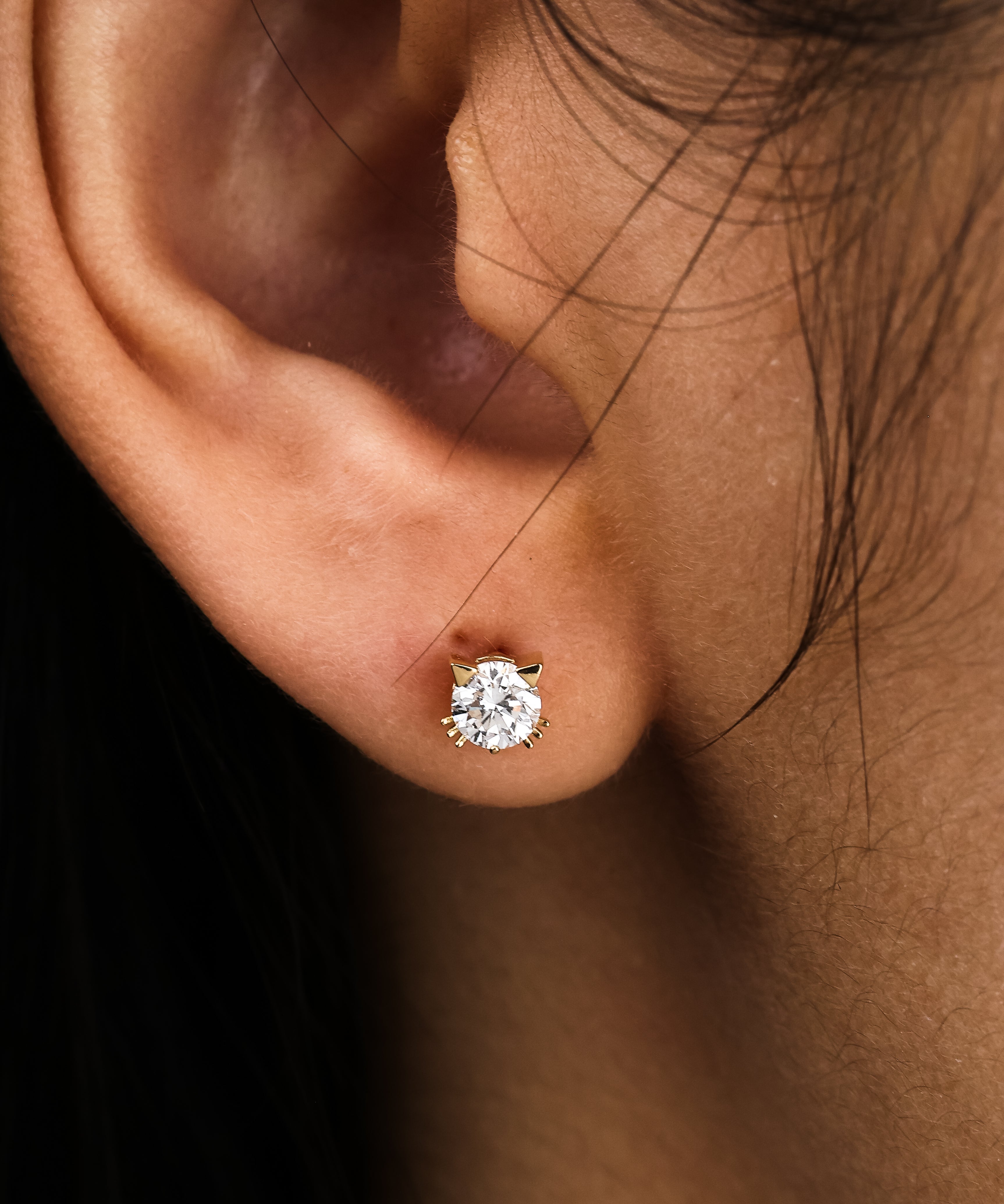 Cat Solitaire Stud